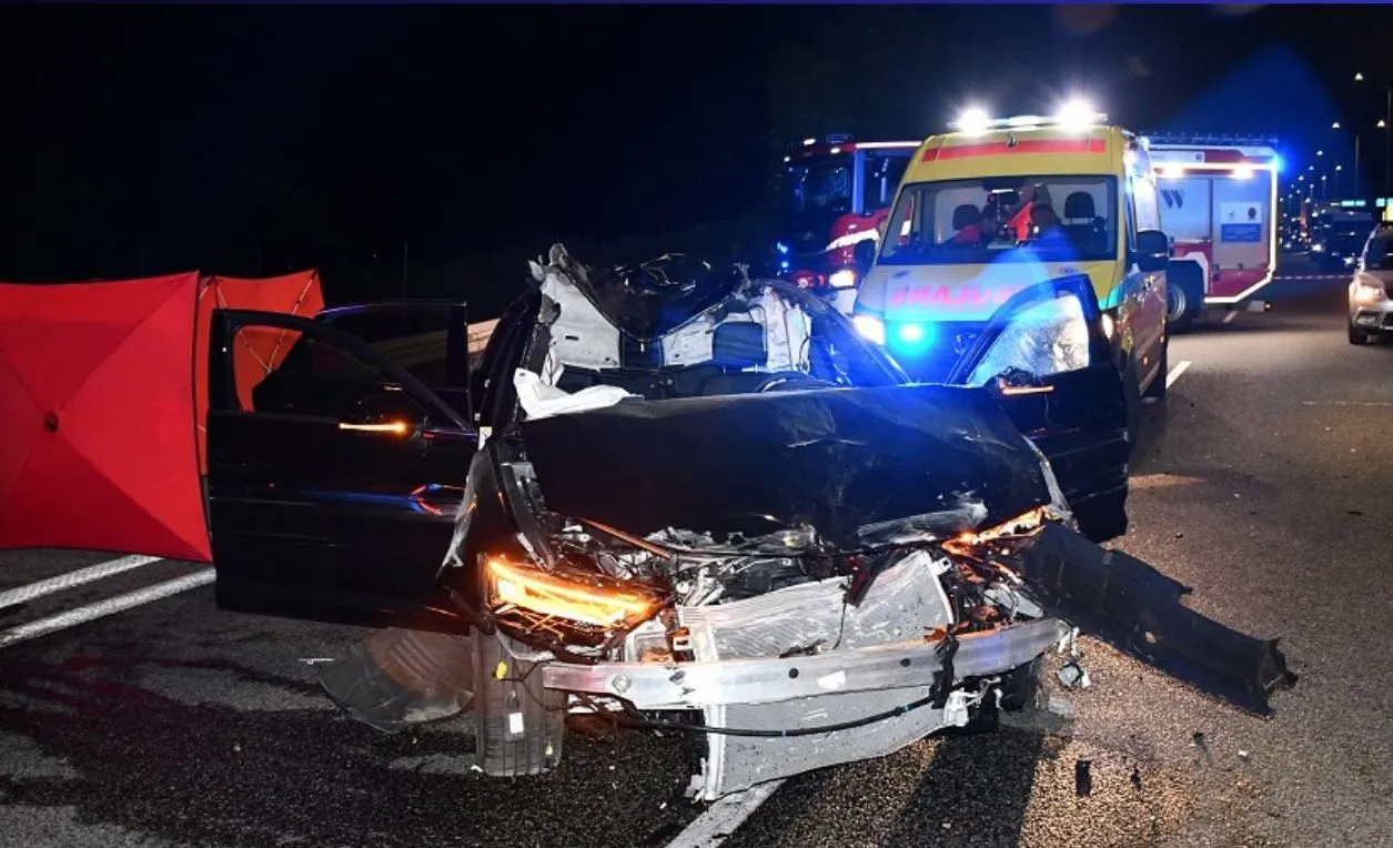 Osobówka zderzyła się z łosiem. 41-latek trafił do szpitala