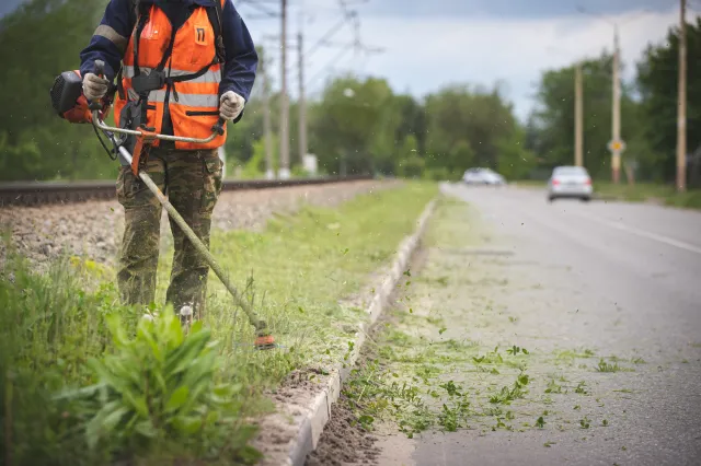 Odszkodowanie z ZUS za ukąszenie przez kleszcza? W tych sytuacjach to możliwe