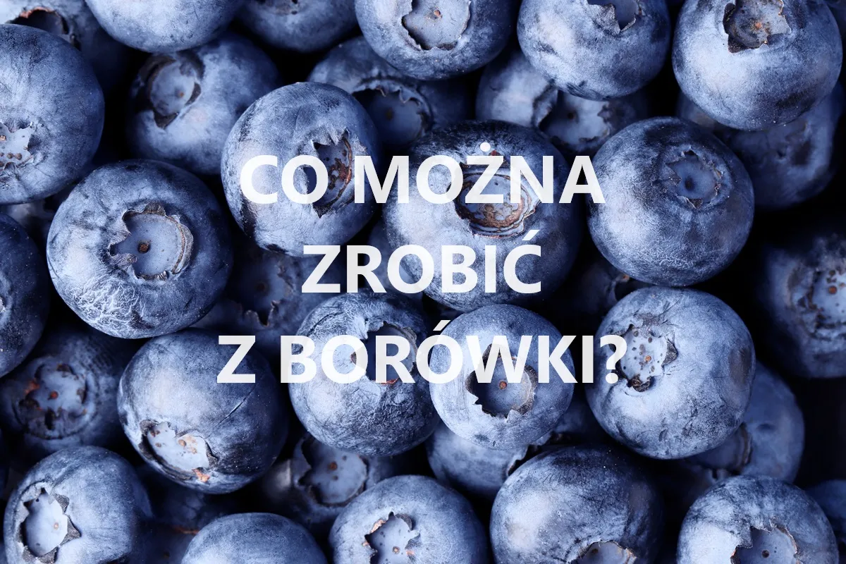 Co można zrobić z borówki amerykańskiej?