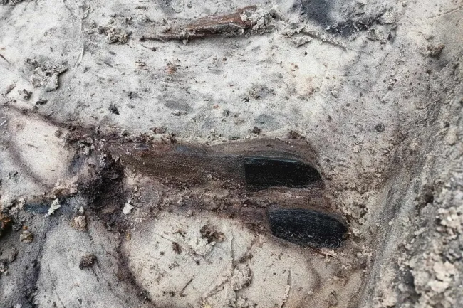 ludzkie szczątki odkryte na Westerplatte