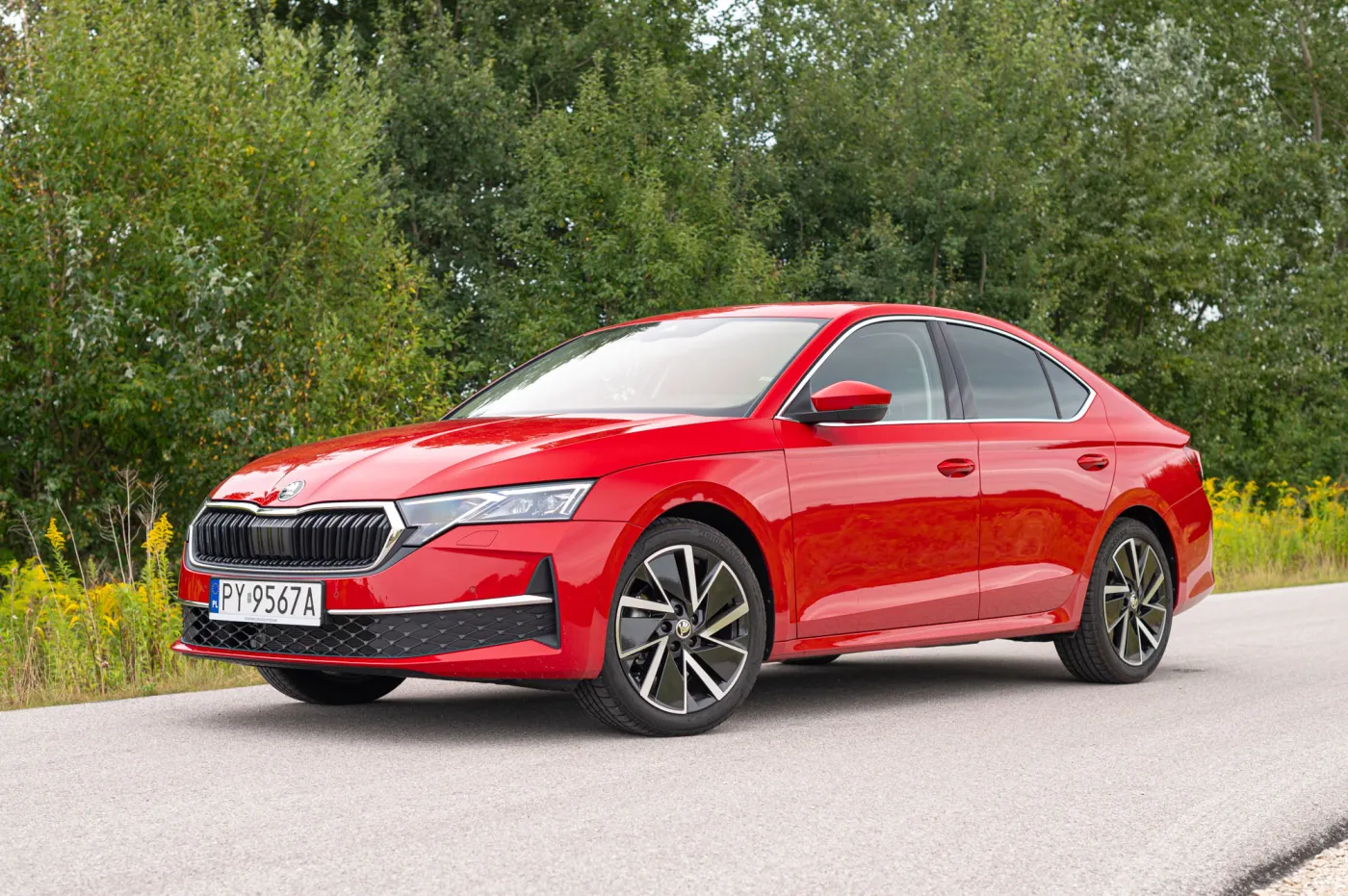 skoda-octavia-38272833.jpg