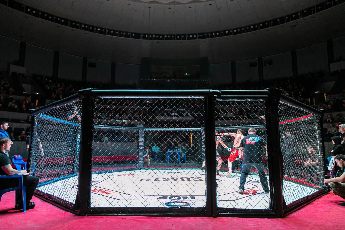 "Boxdel" i szefowie Fame MMA zatrzymani przez CBŚ. Mają usłyszeć zarzuty