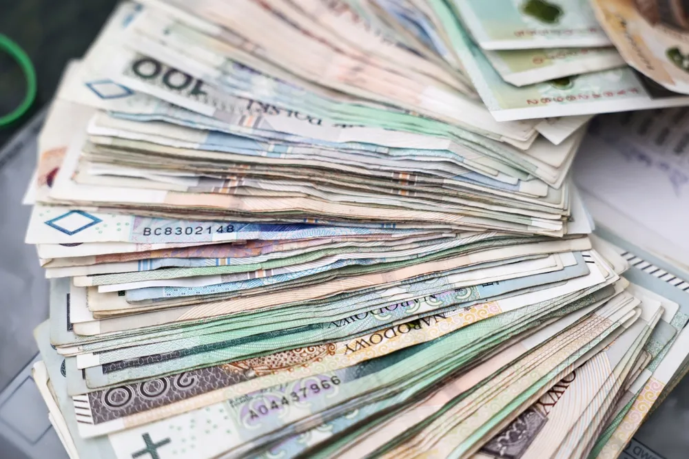 pieniądze, złotówki, świadczenie kompensacyjne