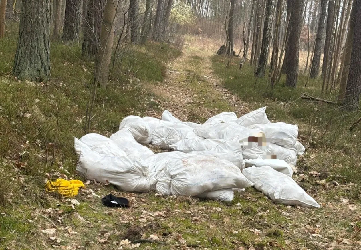 Makabryczne odkrycie w lesie. Policja przekazała ostrzeżenie