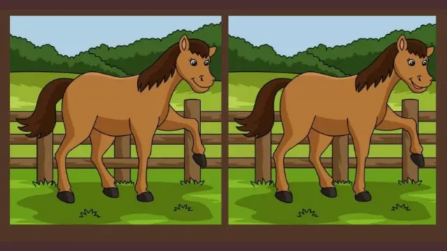 Test dla bystrzaków. Tu liczy się czas i koncentracja. Znajdź 3 różnice w 14 sekund