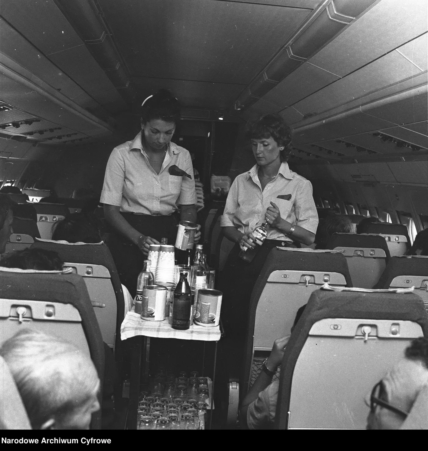 stewardessy-38474168.jpg