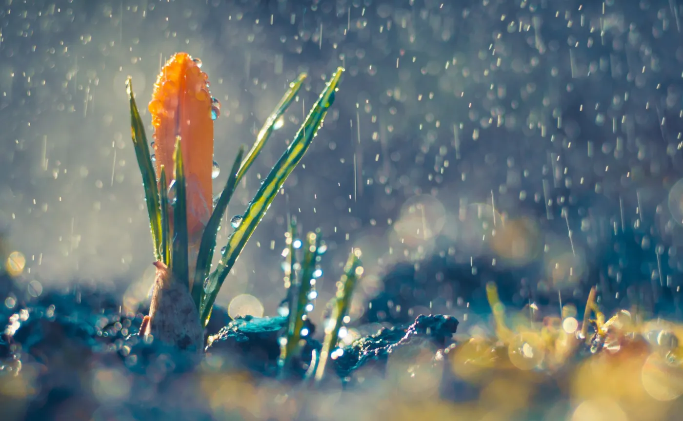 Ochłodzenie i obniżenie temperatur. Prognoza pogody na wtorek 10 czerwca 2025 roku