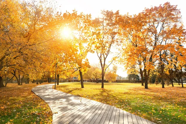 Duża zmiana w pogodzie zacznie się w piątek. Możliwe nawet 22 stopnie!