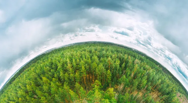 EKO-edukacja w szkole – jak uczyć młodych ludzi odpowiedzialności za planetę