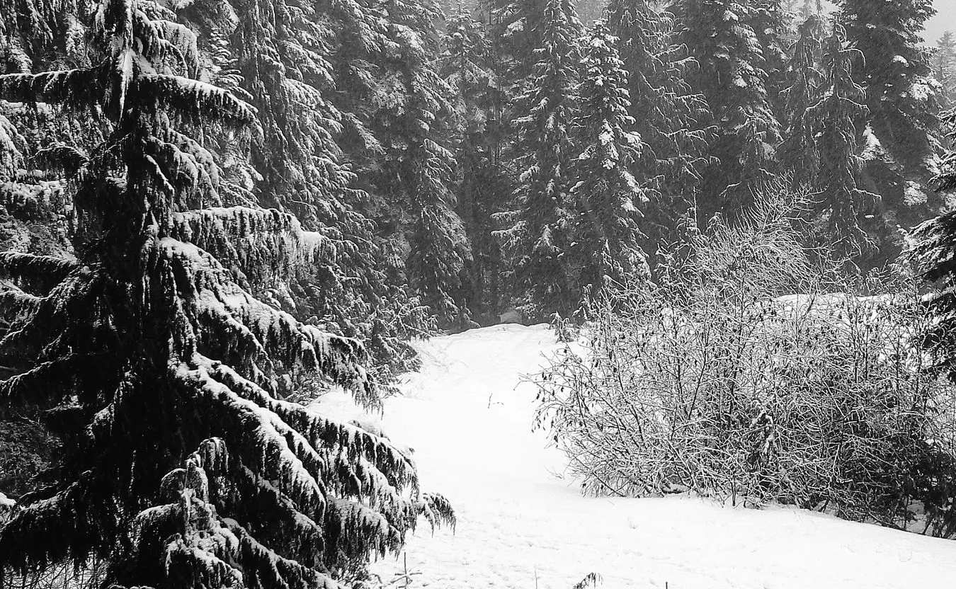 Idealna alternatywa dla Zakopanego? Oto podhalański azyl z najpiękniejszym widokiem na Tatry