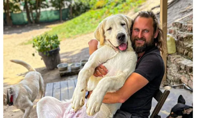 Cudem odnalazł się pies Polaka zaginionego we Włoszech. Ogromny apel do Ambasady RP o wsparcie poszukiwań na większą skalę