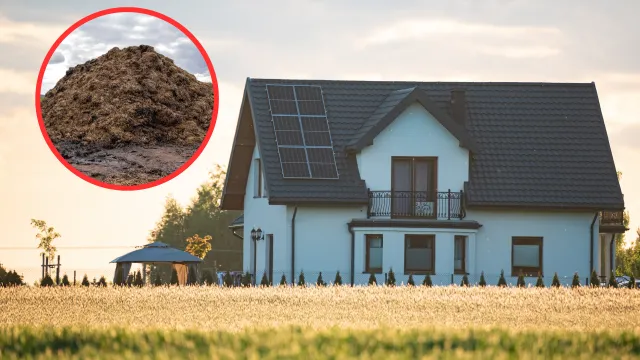 Chcesz mieszkać na wsi? Najpierw podpisz, że akceptujesz hałas i zapachy. Rząd planuje wprowadzenie nowego obowiązku dla właścicieli nieruchomości