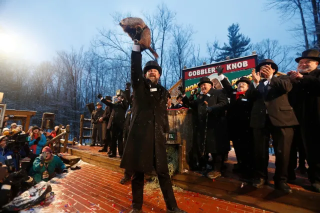 Wiosna nadejdzie szybko? Świstak Phil już wie