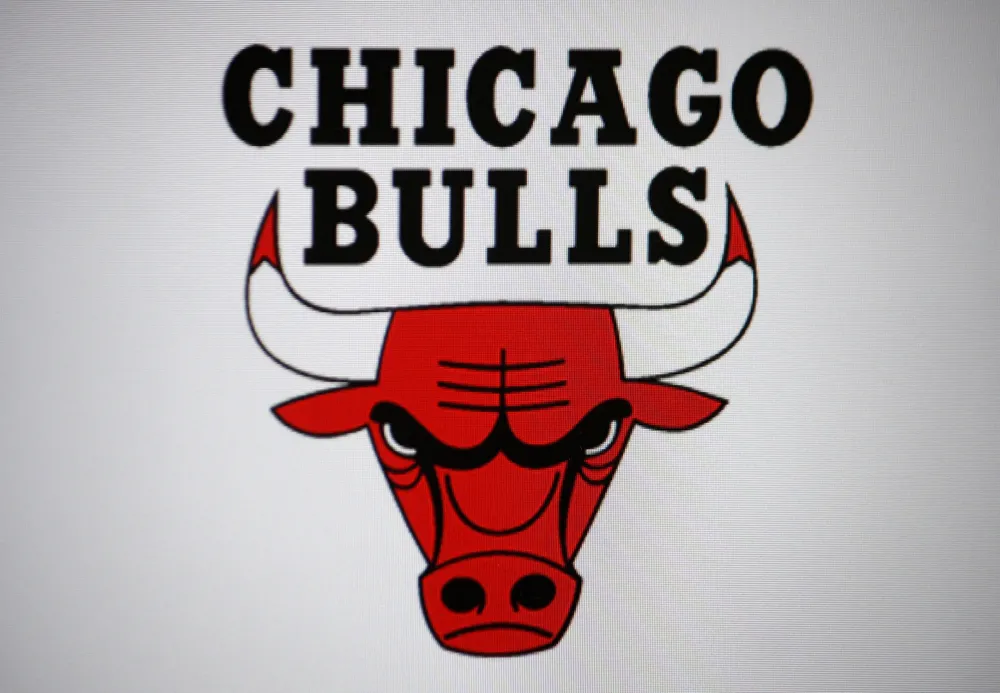Chicago Bulls 
