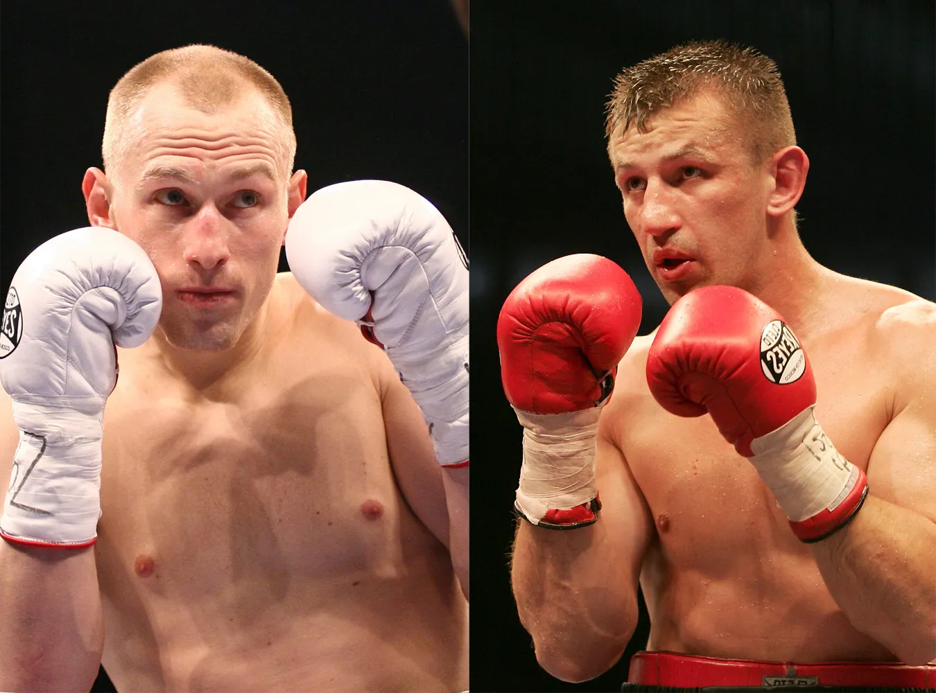 Włodarczyk: Adamek powinien mniej gadać, a więcej walczyć.