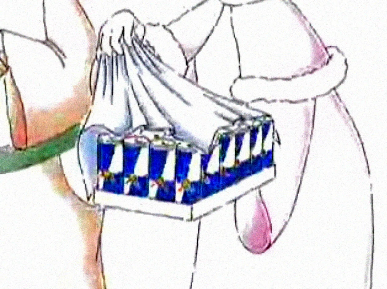 Czy Red Bull obraził religijnych Polaków?