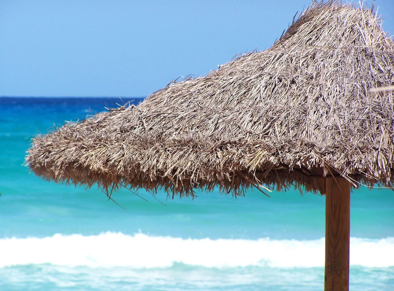 Posłowie są pazerni. Chcą dopłat do wakacji