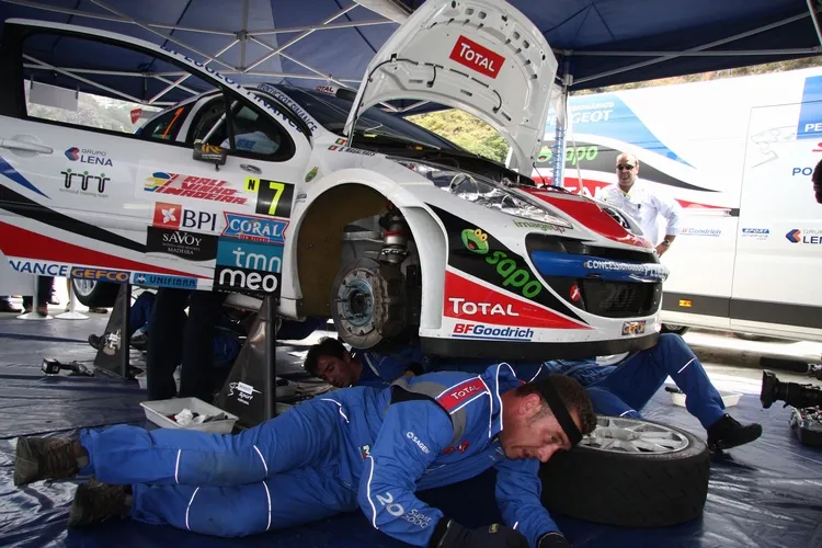 fr_rally8_111550a_386959.jpg