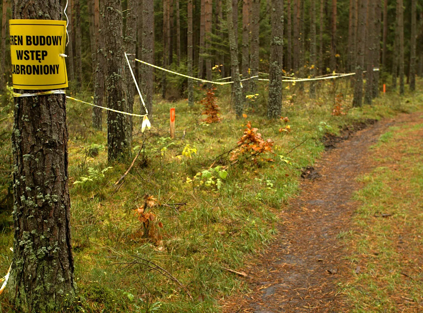 Kaczyński kontra obrońcy Rospudy