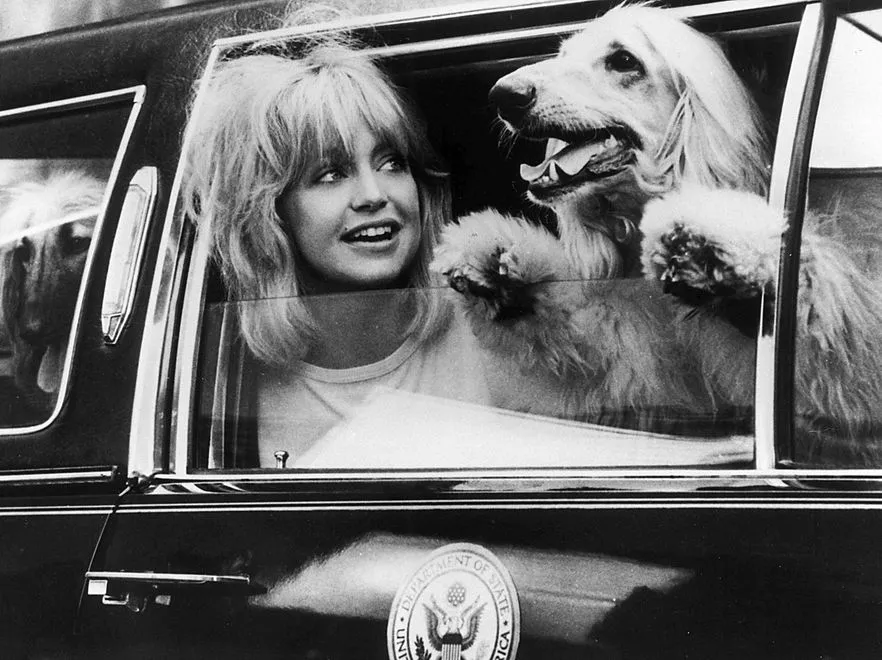 Goldie Hawn