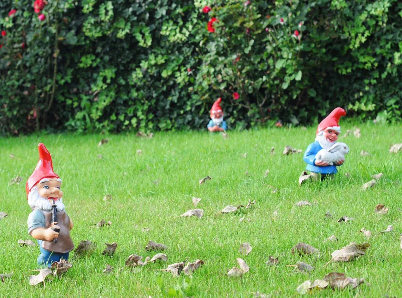 Wrocław idzie do sądu. Przez krasnala