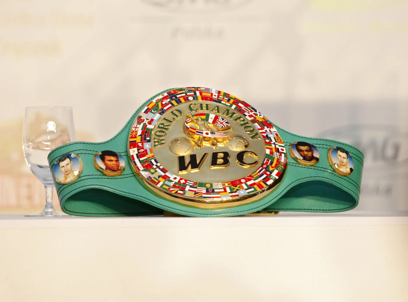 Hopkins odzyskał pas mistrzowski WBC