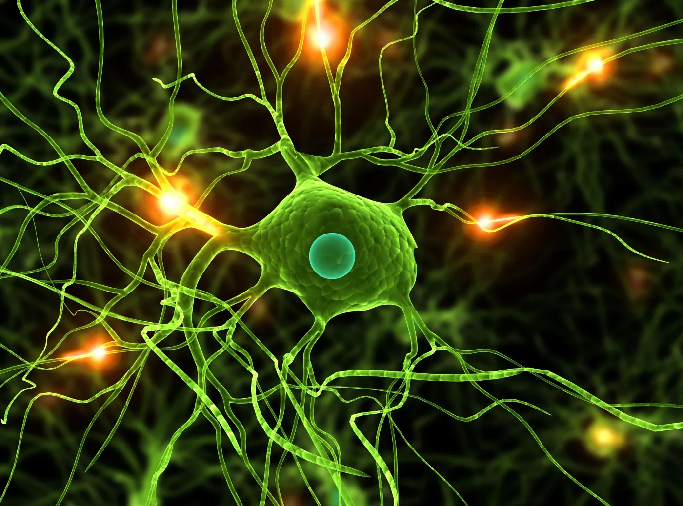komórki nerwowe