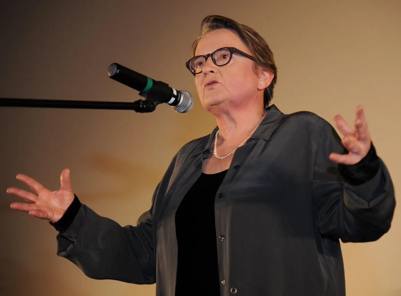 Agnieszka Holland o słowach Brudzińskiego: Himalaje absurdu, kabaret