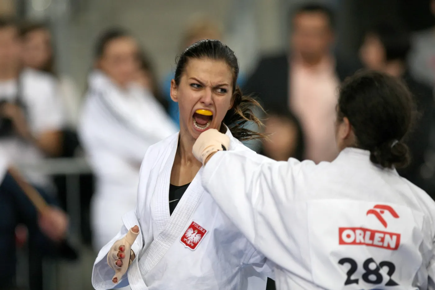 4121944-anna-stachurska.jpg