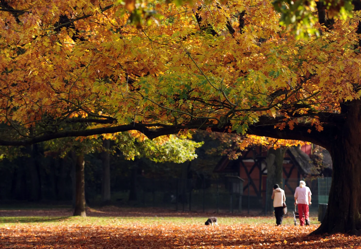 Jesienią dookoła świata. Malownicze krajobrazy