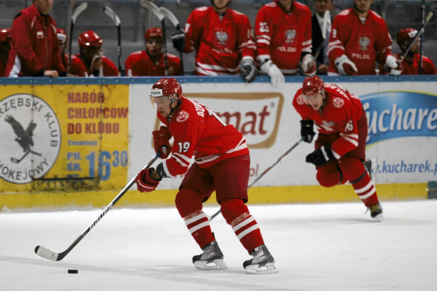 Polscy hokeiści