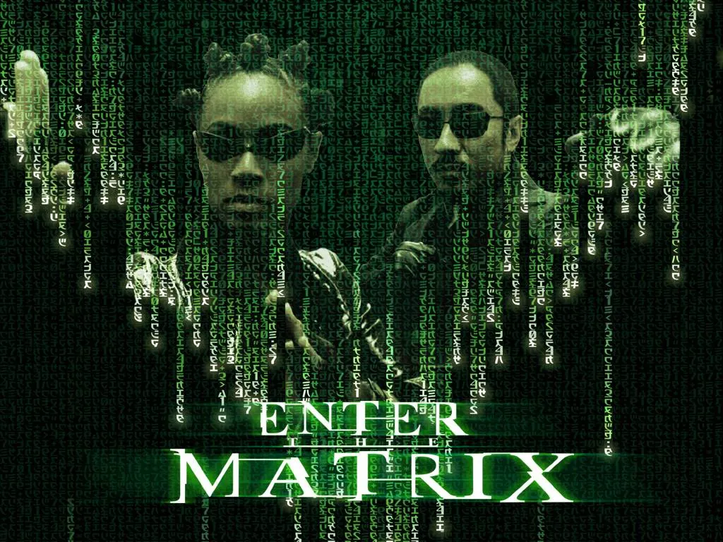4867924-enter-the-matrix.jpg