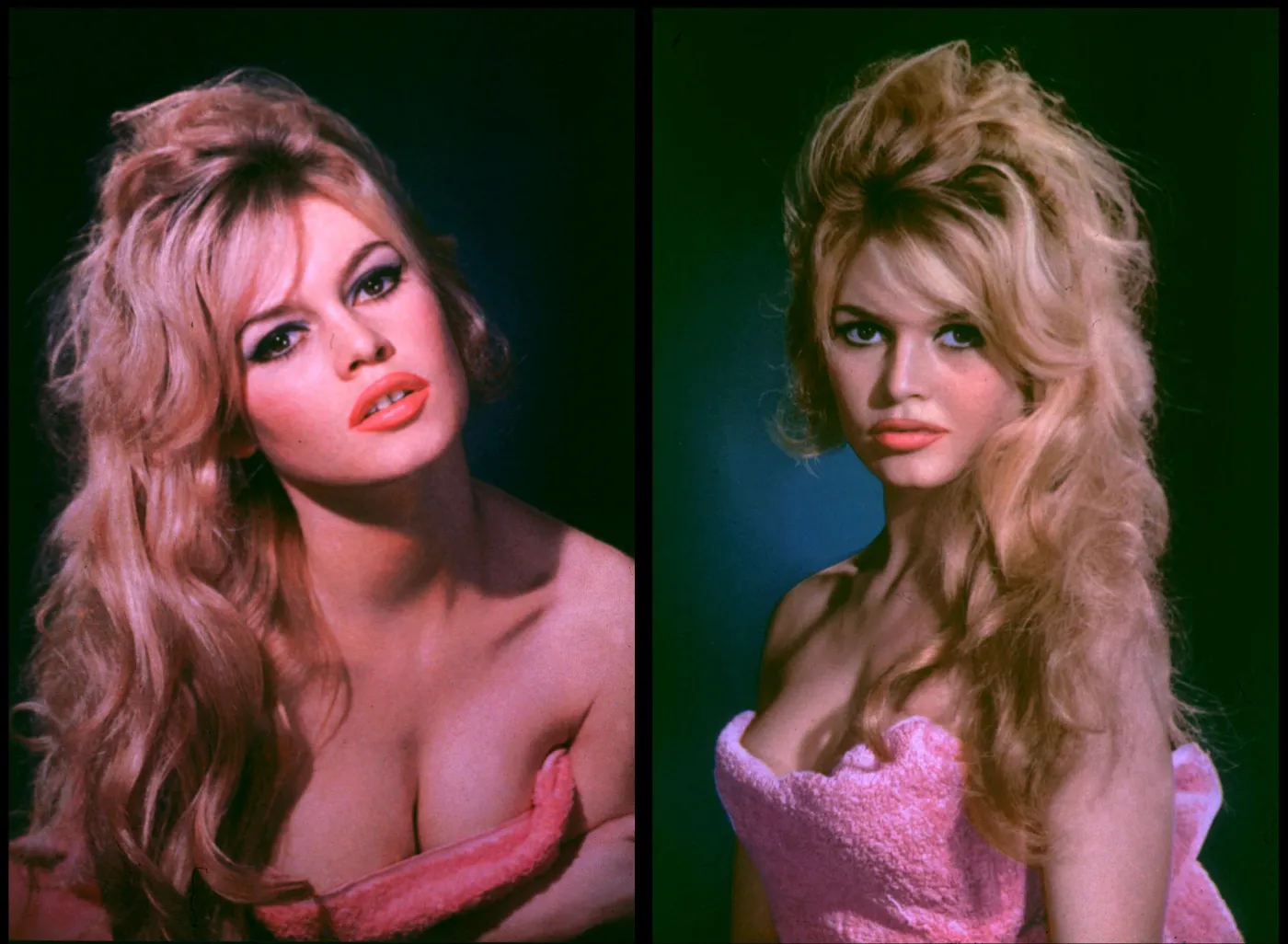 4939669-brigitte-bardot.jpg