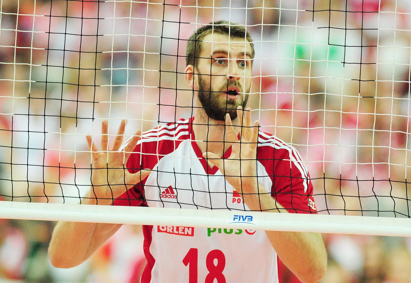5416576-marcin-mozdzonek.jpg