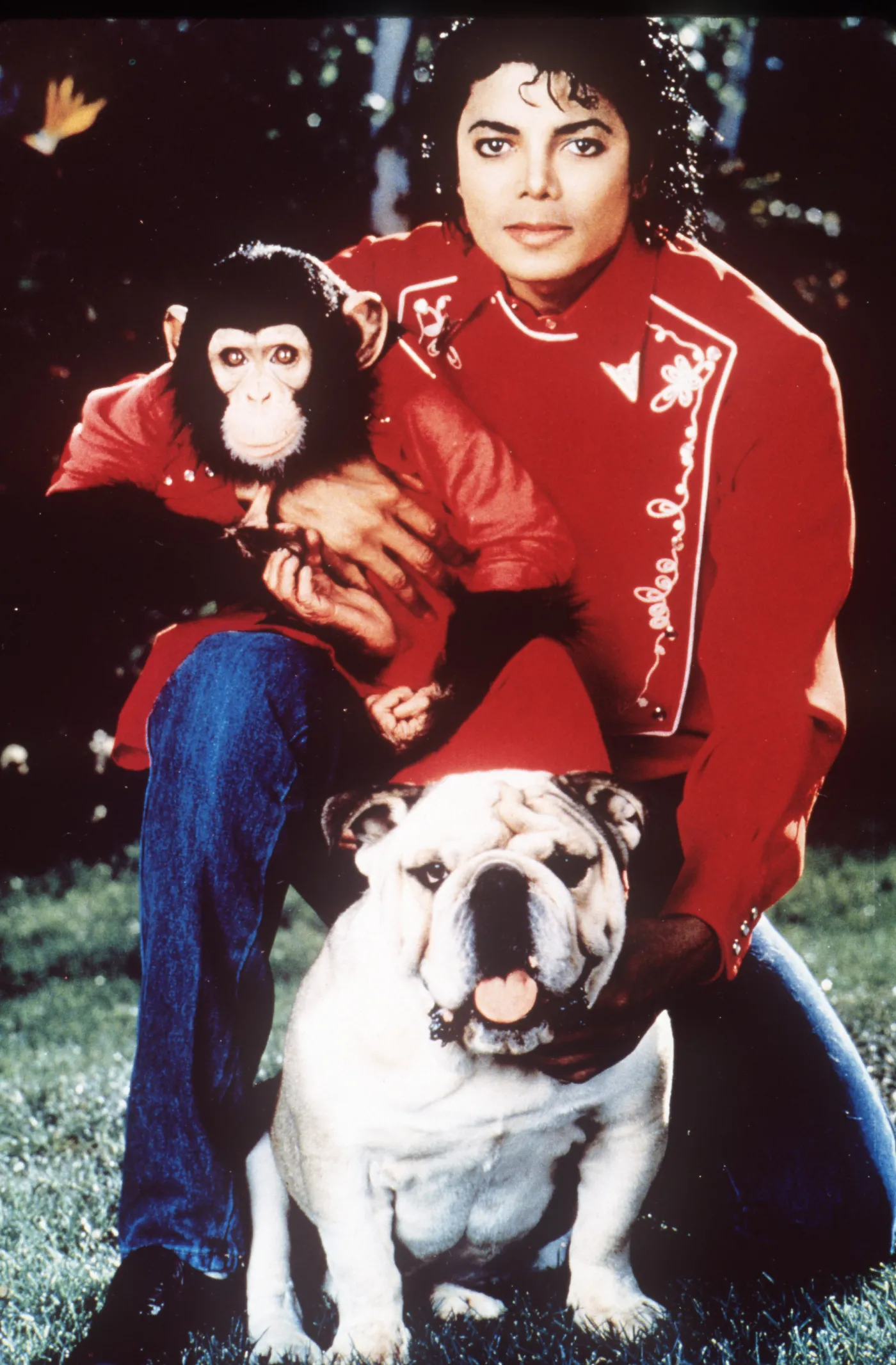 5126954-michael-jackson.jpg