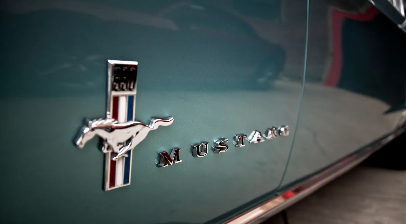 5699685-mustanginspires-7.jpg