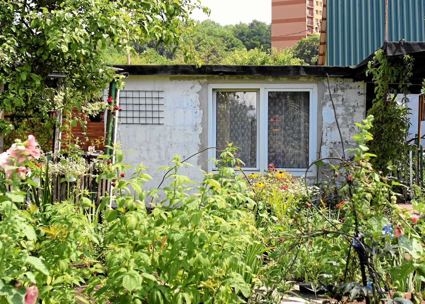 Brudna wojna działkowców. Pomówienia i donosy do CBA