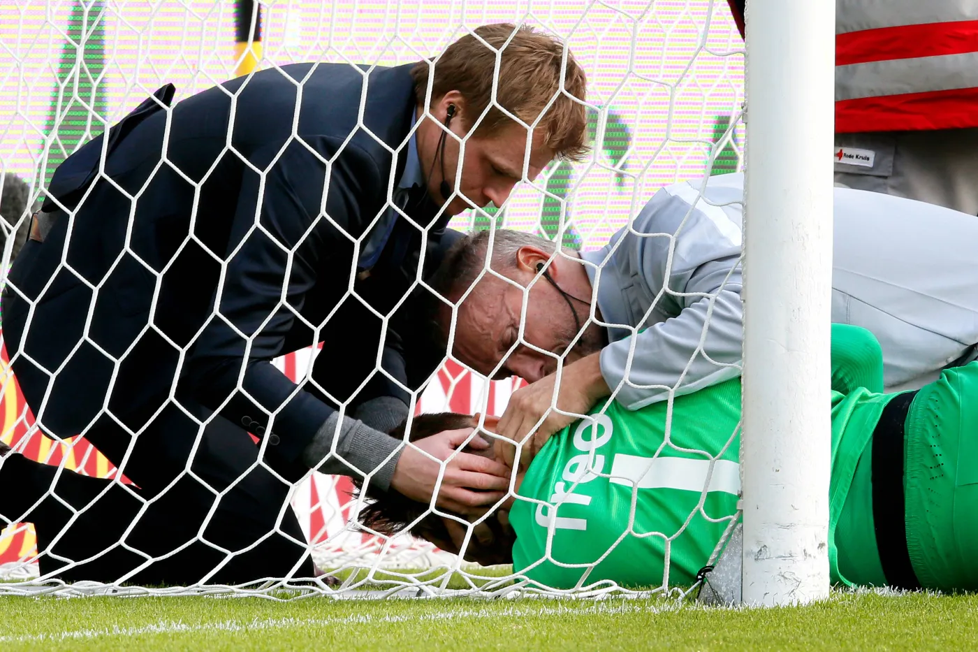 Tytoń po uderzeniu twarzą w słupek ma wstrząs mózgu. ZDJĘCIA