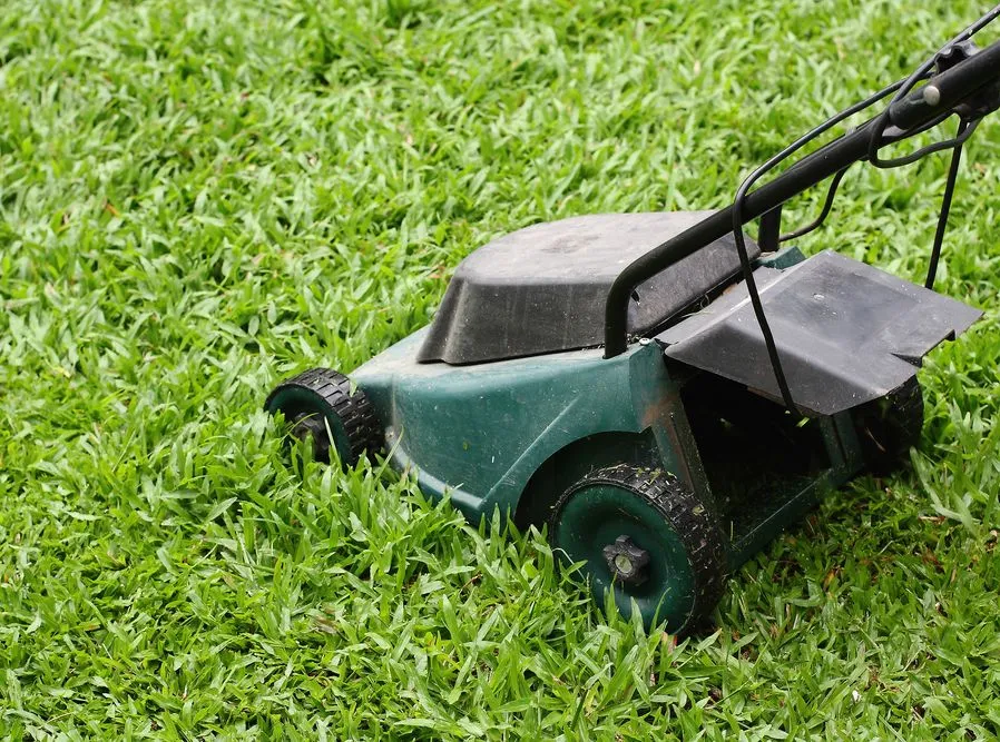 Kara dla gwałcicieli? Sąd skazał ich na koszenie trawy