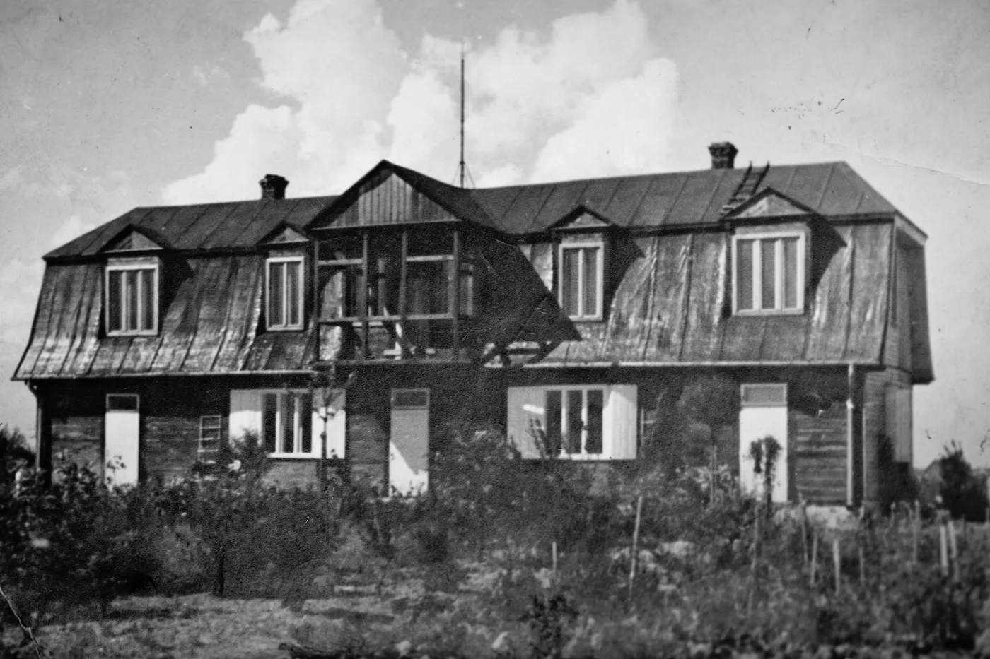 6577314-kalina-jedrusik.jpg