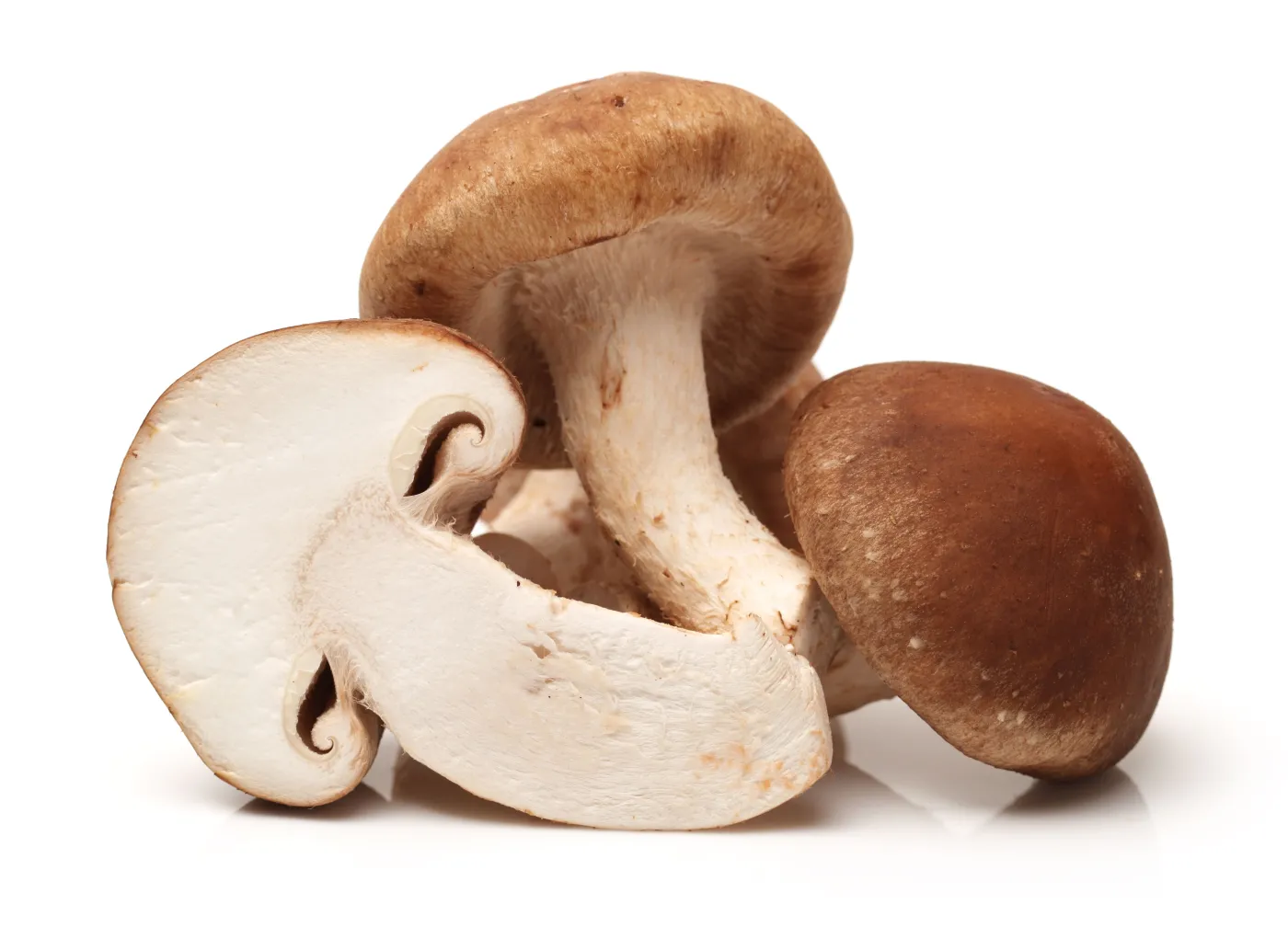 Grzyby shiitake