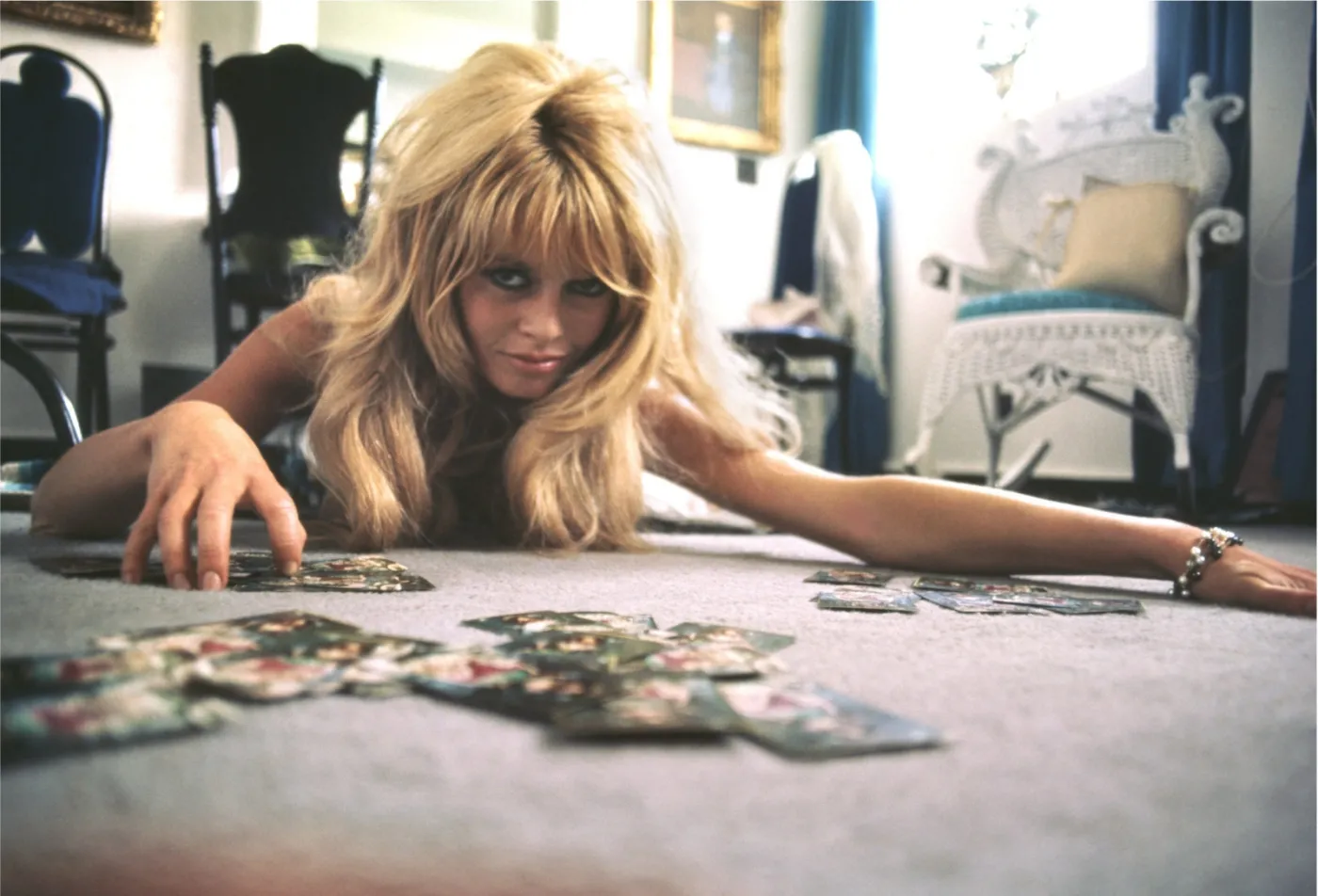 6868445-brigitte-bardot.jpg