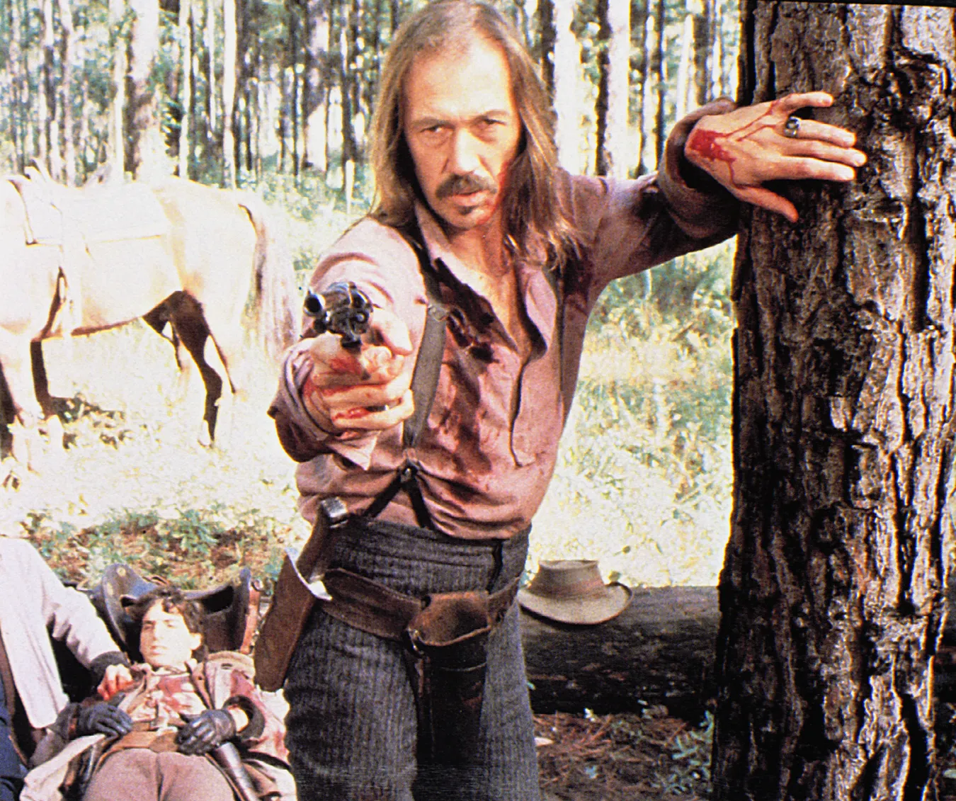 7608727-david-carradine.jpg