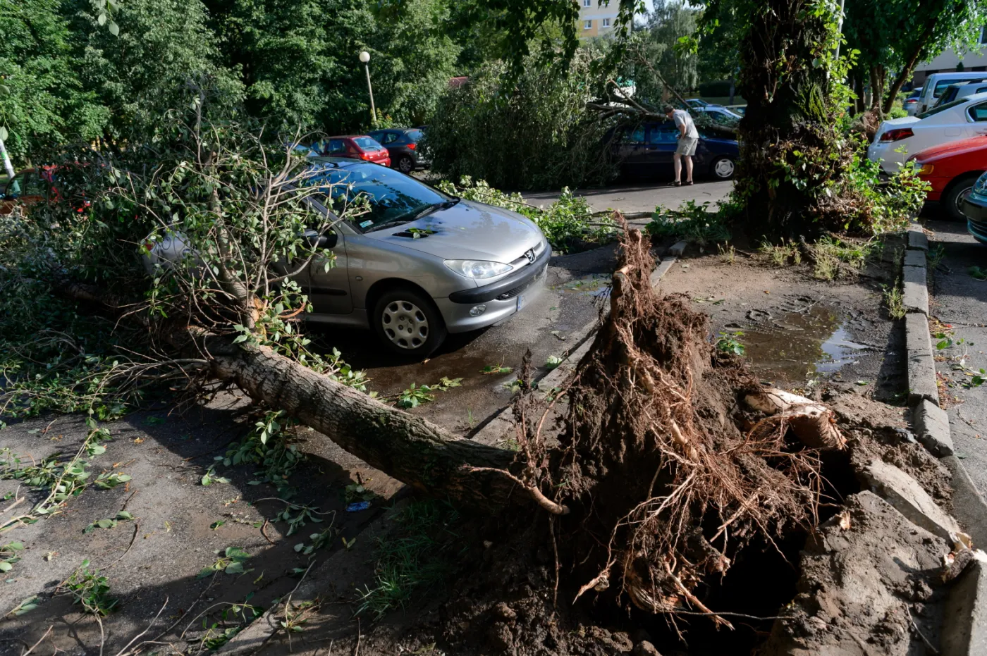 Straszny krajobraz po burzy. ZDJĘCIA napływały z całej Polski