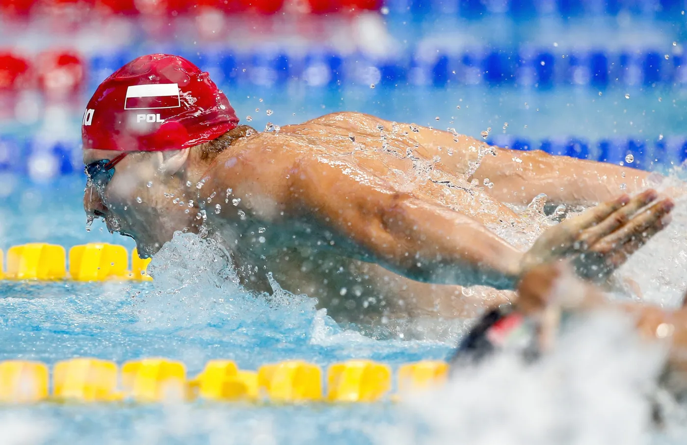 MŚ w pływaniu: Czerniak 6., Korzeniowski 7. na 100 m motylkiem