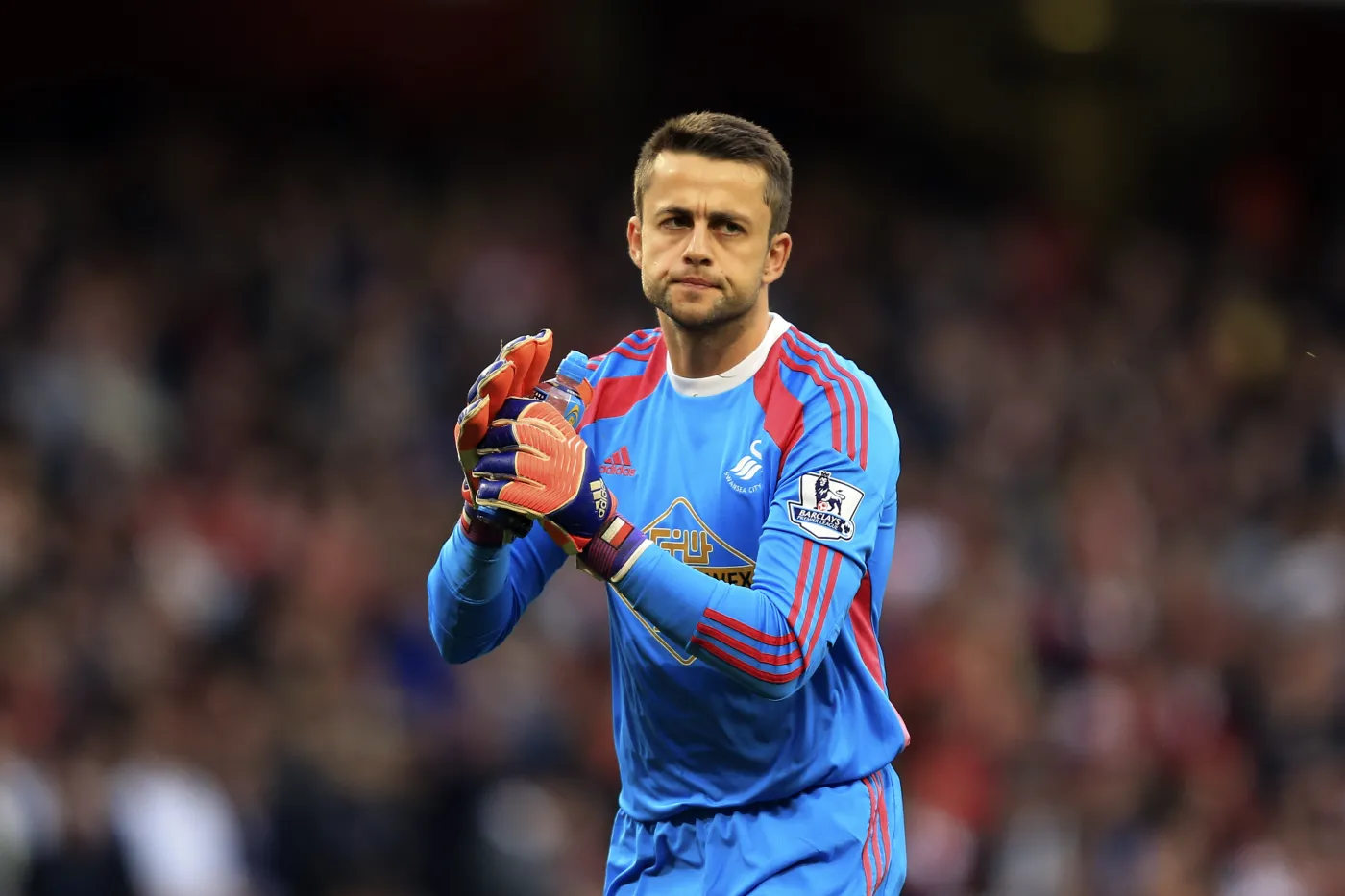 Liga angielska: Czyste konto Fabiańskiego. Swansea - Newcastle 2:0