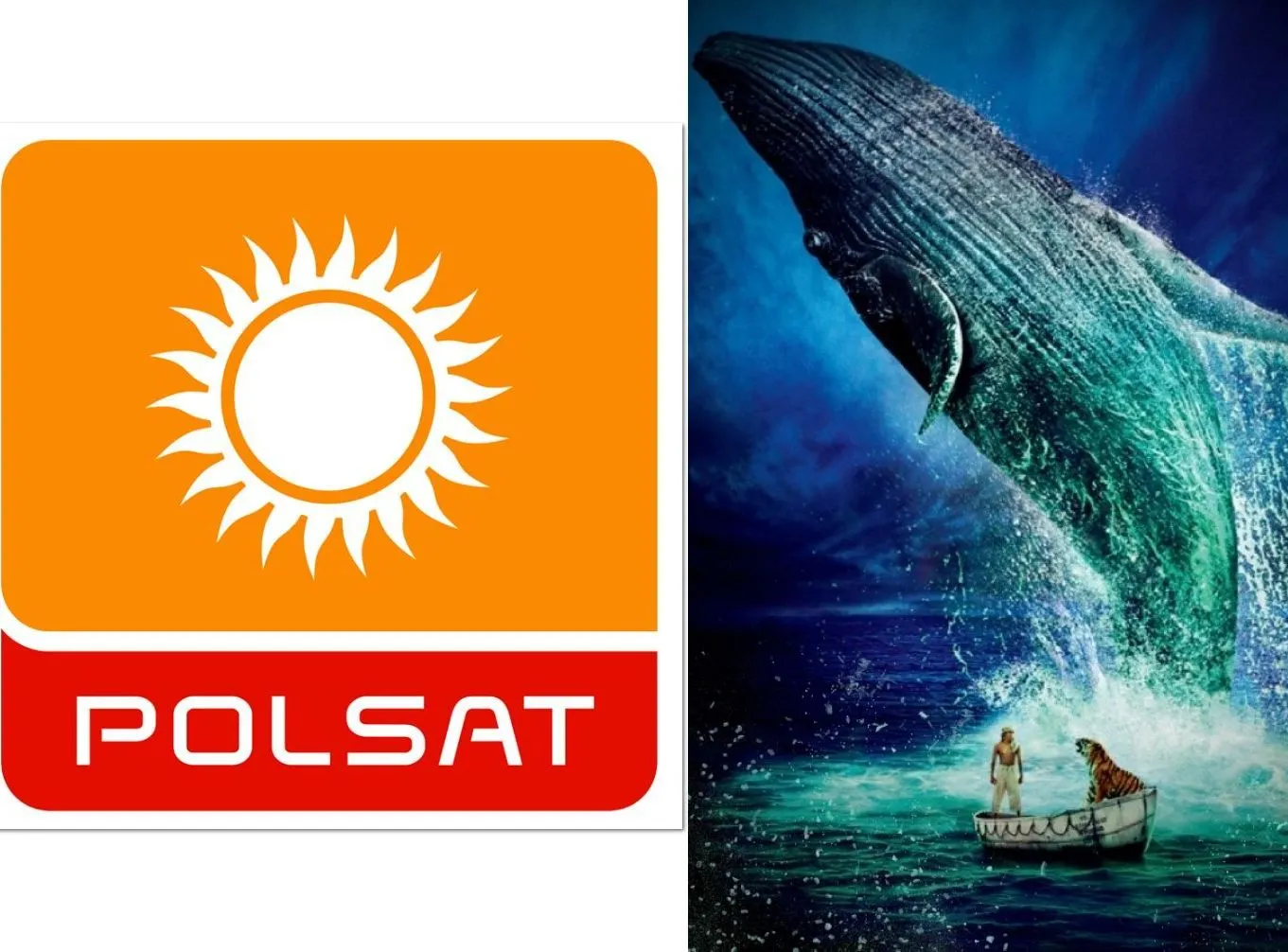 Polsat przerwał emisję filmu "Życie Pi". Widzowie oburzeni, stacja przeprasza