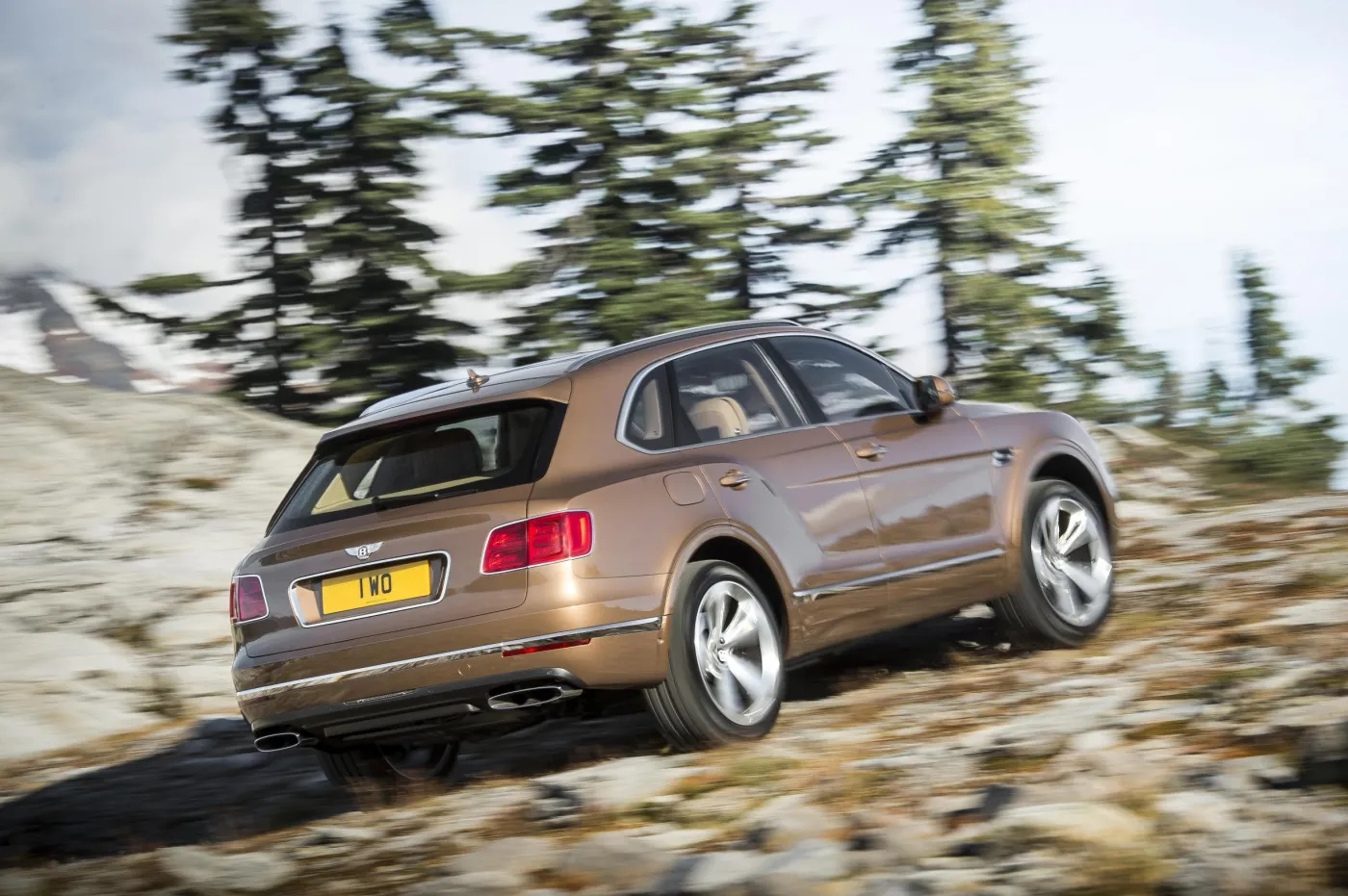 8189915-bentley-bentayga.jpg