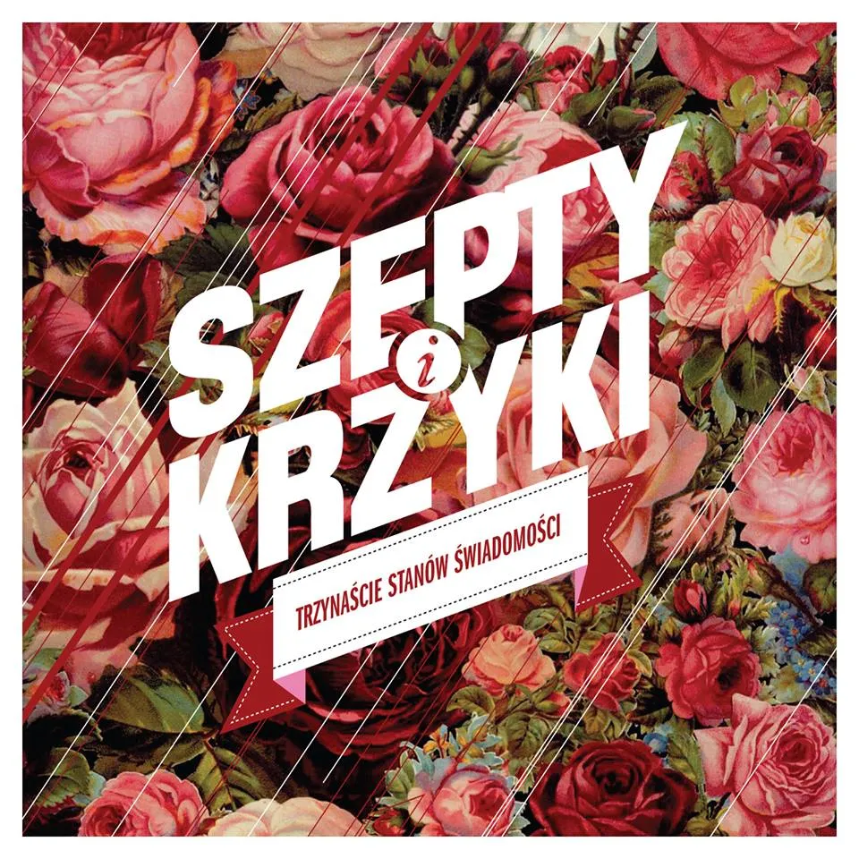8502837-szepty-i-krzyki.jpg