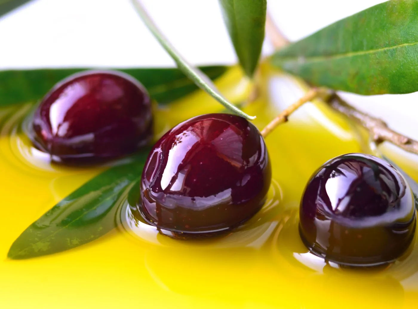 Oliwki w oliwie